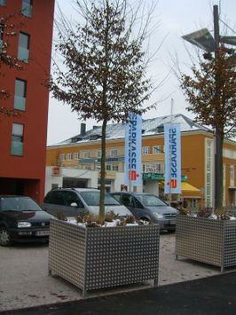 Metallpflanzentopf grau mit Löchern-Design mit einem Baum darin